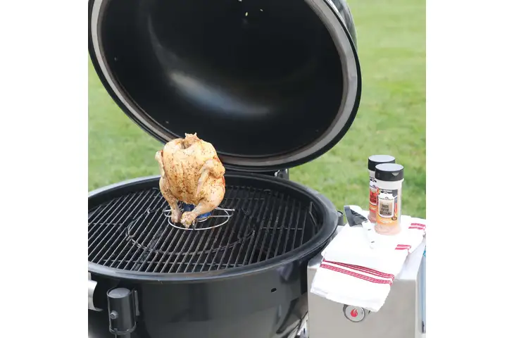 CanCooker Foldable Chicken Rack - view 5